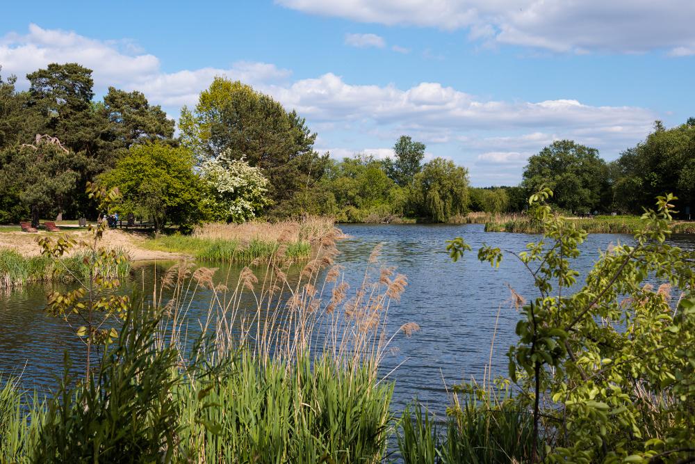 BAUTECH-Piaseczno_A-1