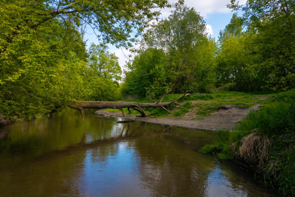 BAUTECH-Piaseczno_A-19