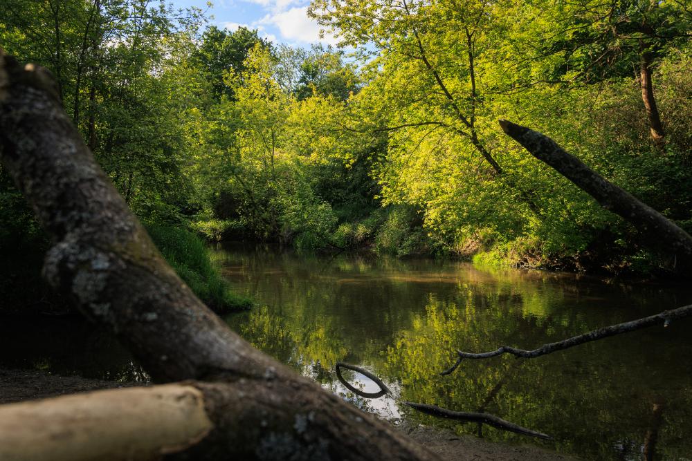 BAUTECH-Piaseczno_A-30