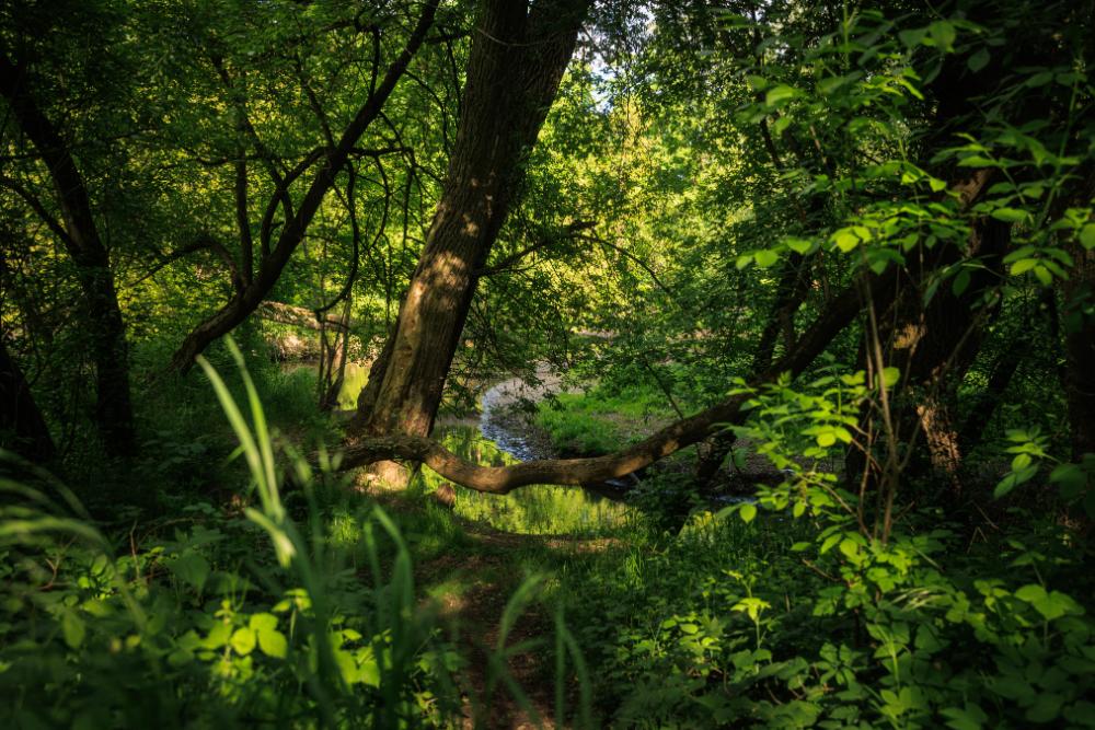 BAUTECH-Piaseczno_A-32