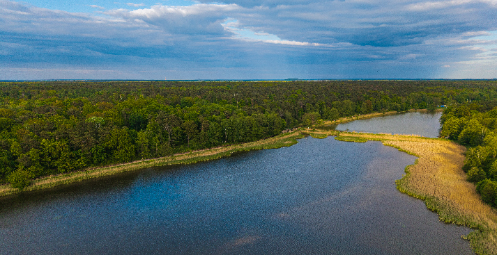 otoczenie